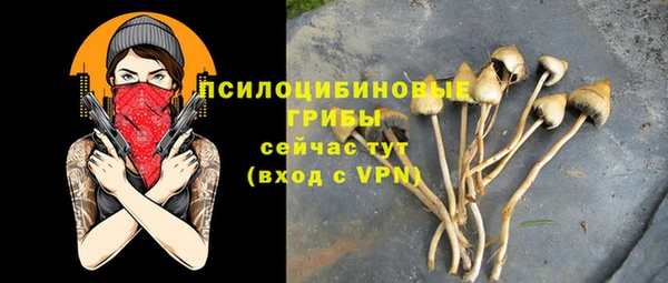 дурь Белокуриха