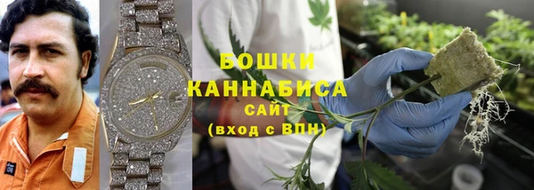 трава Беломорск